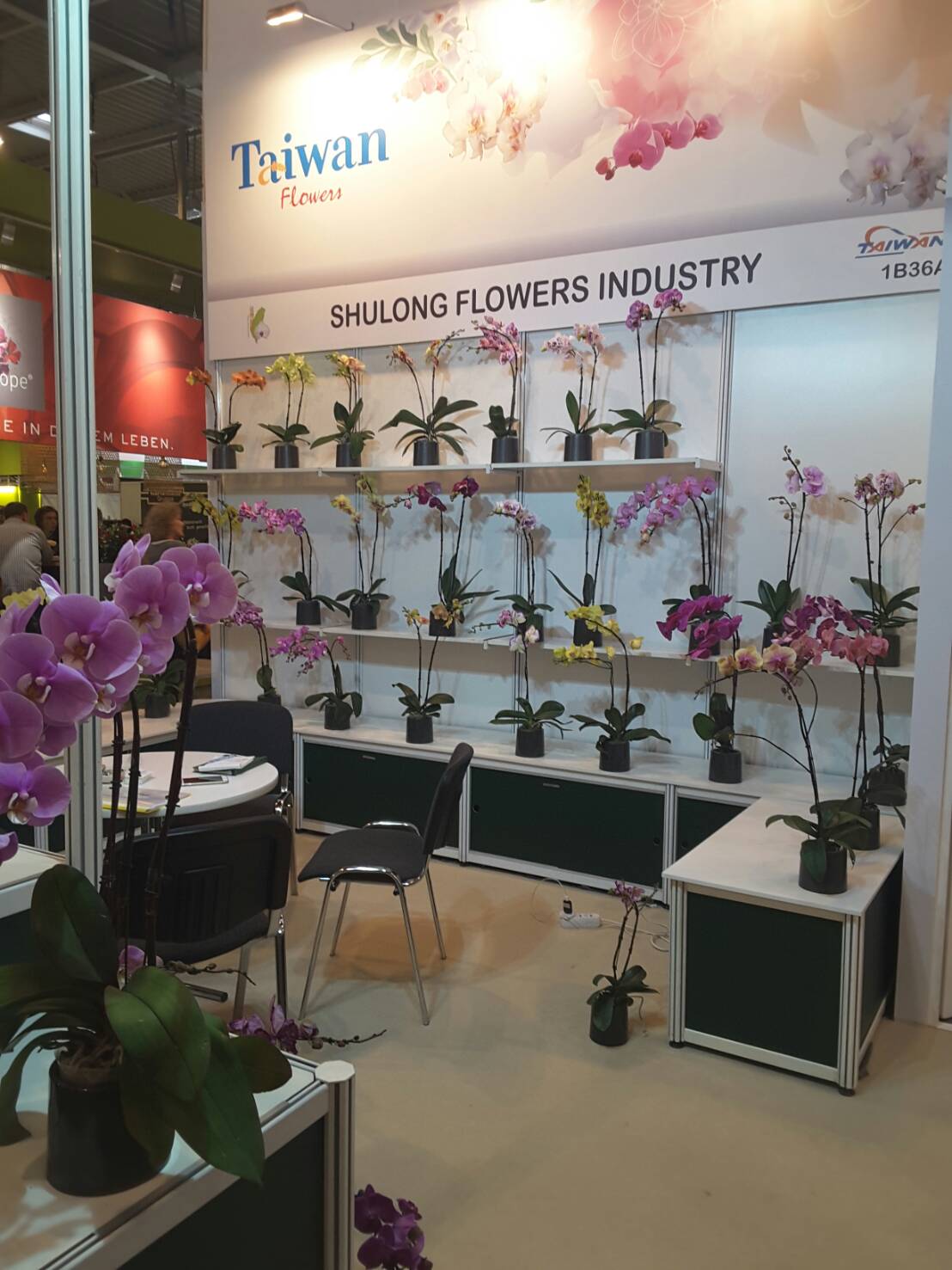 ipm-1.jpg